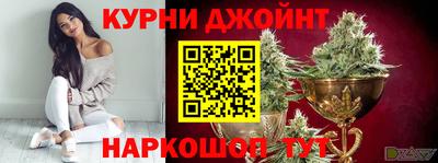 мдпв Краснодар