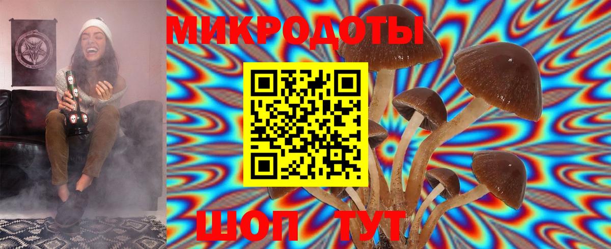 Псилоцибиновые грибы прущие грибы Клин